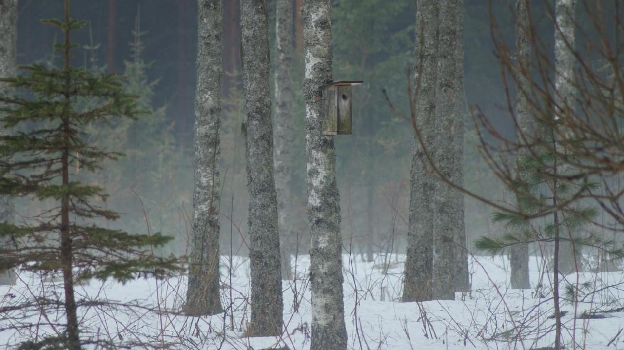 Bear Manor B&B Kannonkoski Экстерьер фото